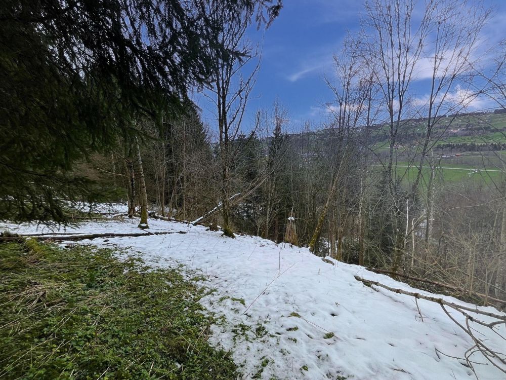 HOLZ MACHT 2x WARM!!!
Waldgrundstück in Wertach