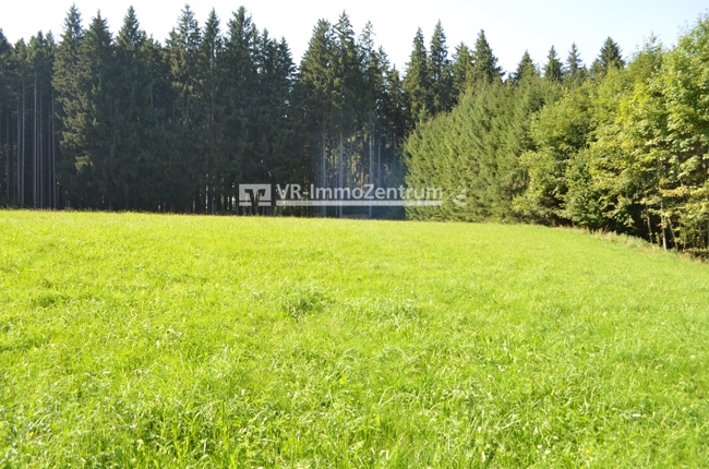 landwirtschaftliche Fläche - Wiese