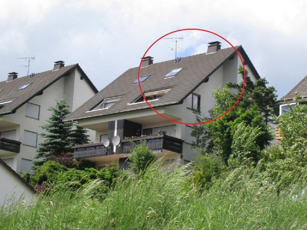 Bild1