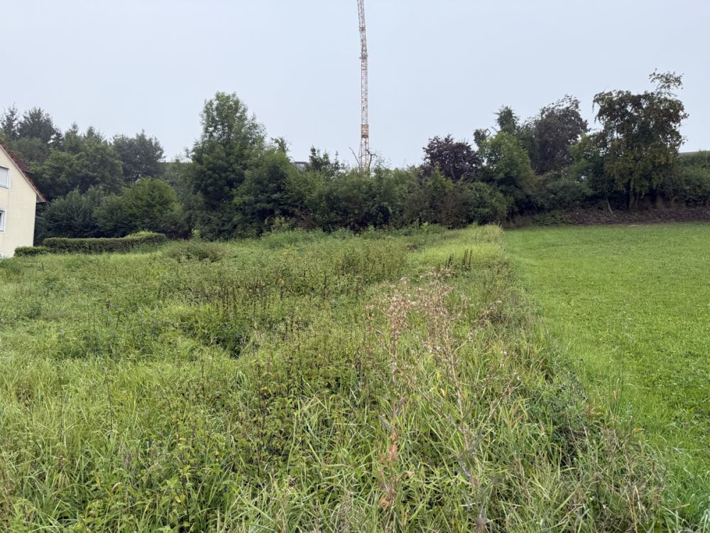 Baugrundstück in Eschenbach – 1.066 m²