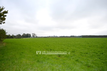 mehrere sonnige Wiesenflächen