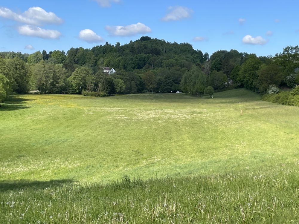 Landwirtschaftliche Fläche im Bereich Pleystein zu verkaufen!