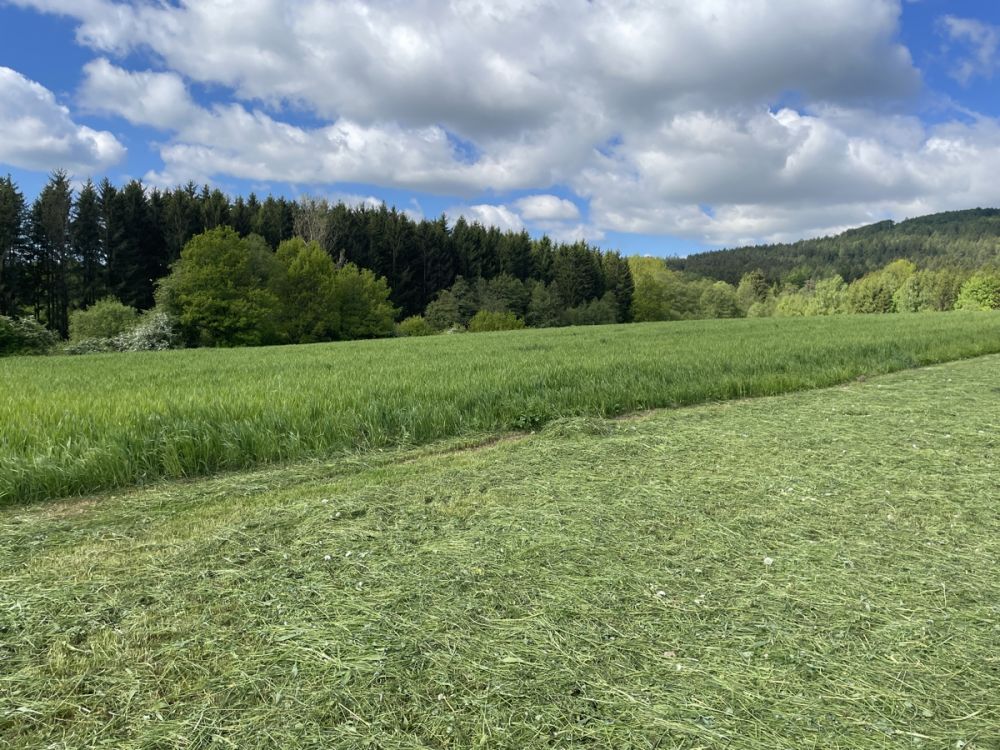 Landwirtschaftliche Fläche 
im Bereich Pleystein zu verkaufen!