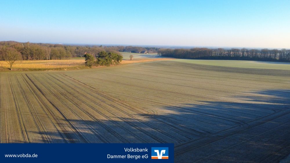 3,5 Hektar Ackerland am Sonnenberg zu verkaufen!