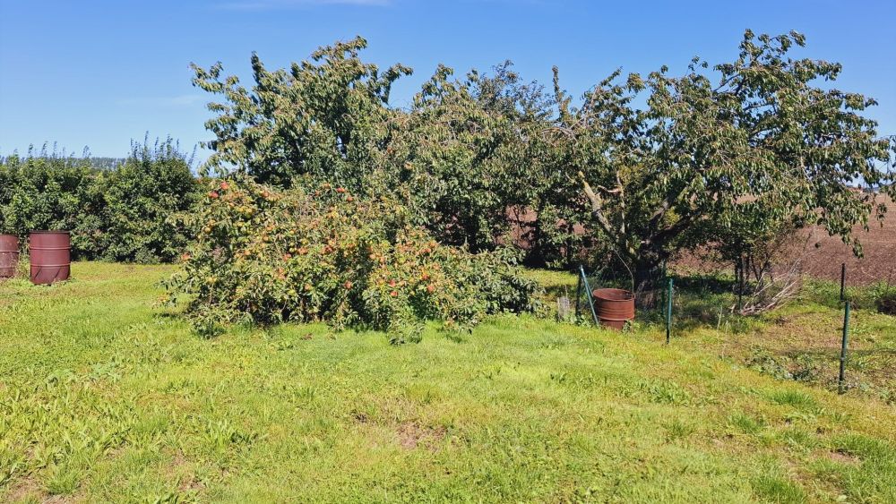 Doppelhaushälfte in Ostseenähe / Sanierung notwendig