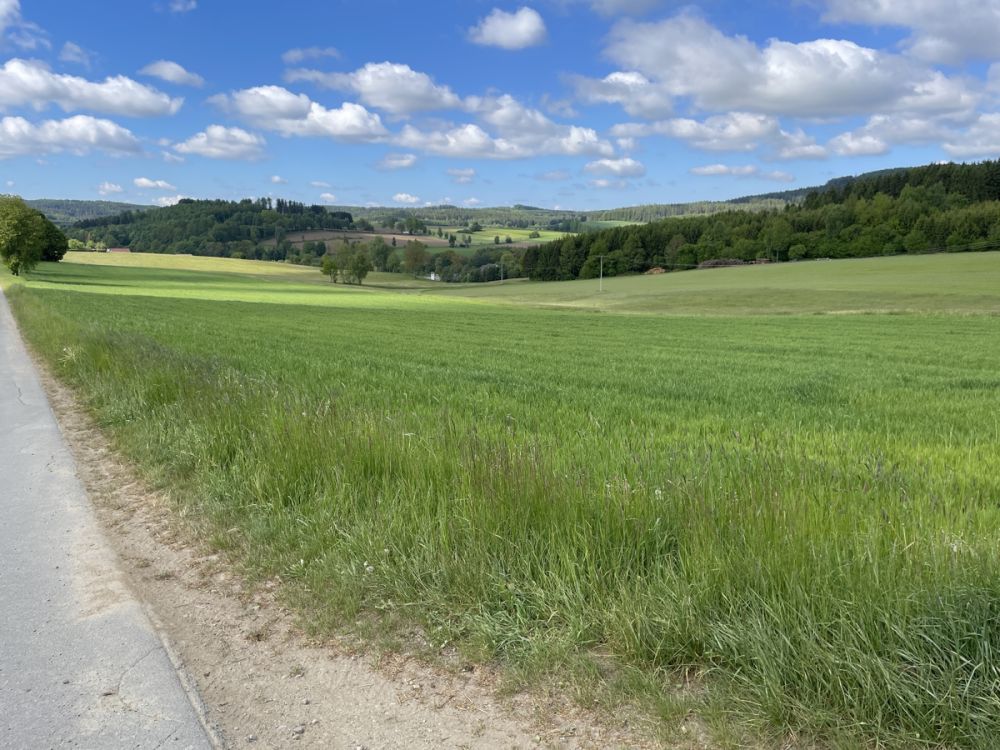 Landwirtschaftliche Fläche 
im Bereich Pleystein zu verkaufen!