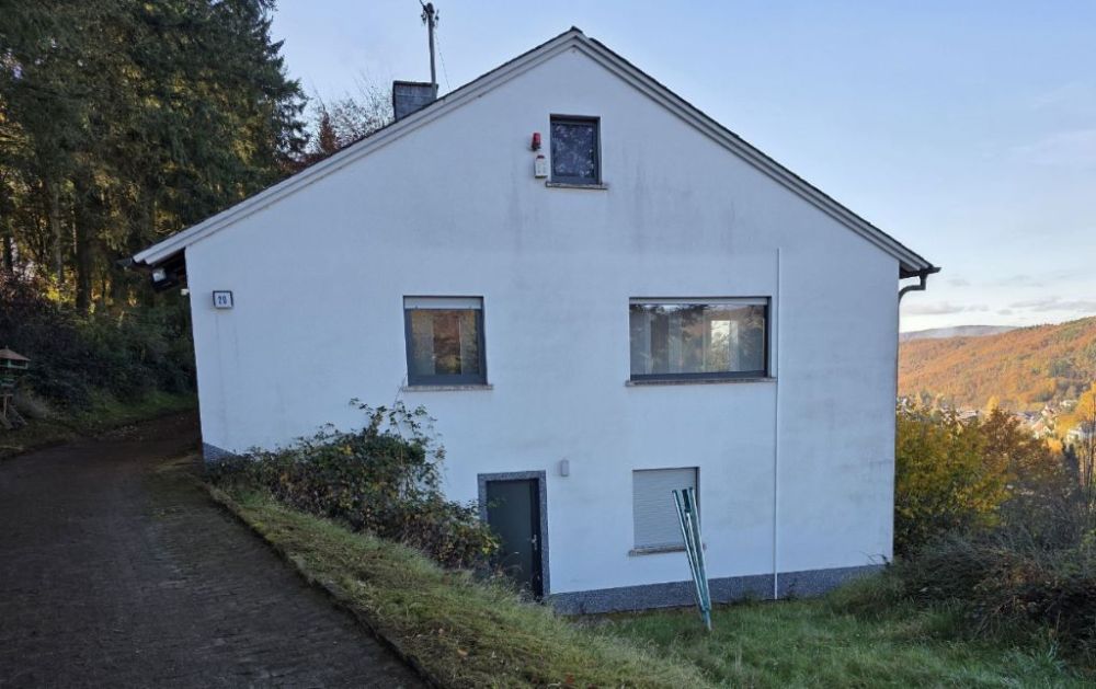 Seitenansicht mit Zufahrt