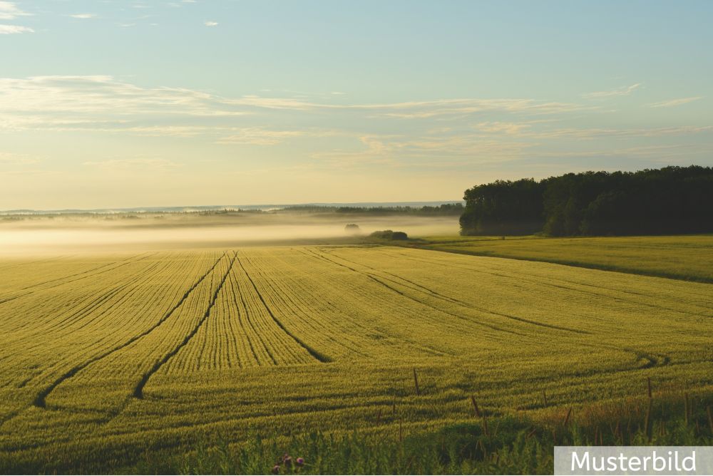 Vielseitige Landwirtschaftsfläche mit 5,29 ha in Brochterbeck!