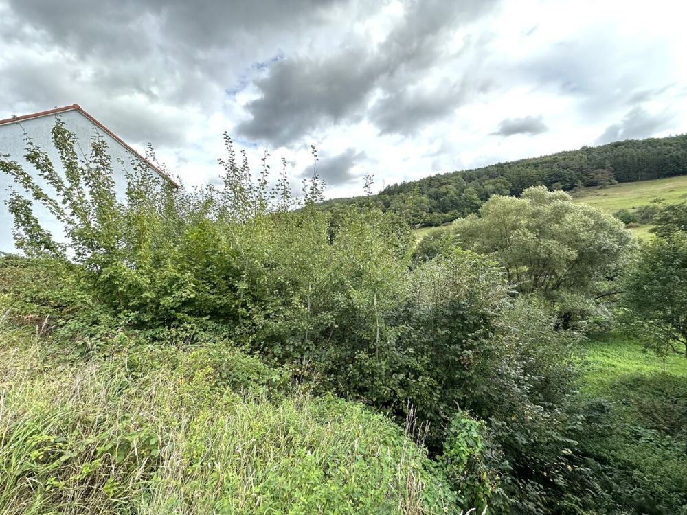 Baugrundstück mit Baugenehmigung für 4-Familienhaus in Heimbuchenthal