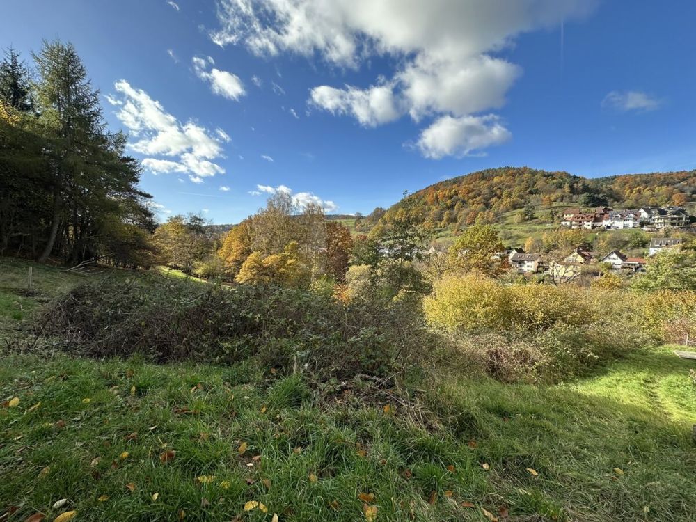 Seltene Gelegenheit: Großes Baugrundstück am Naturschutzgebiet in Heimbuchenthal