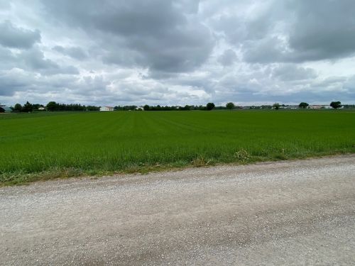 Ackerfläche in Ismaning 