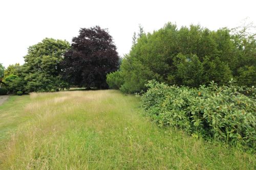 Baugrundstück ohne Bebauungspflicht... 