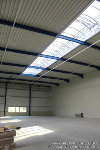 Attraktive Gewerbehalle zur Vermietung – Vielseitig nutzbar! 