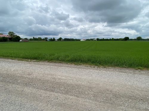 Ackerfläche in Ismaning 