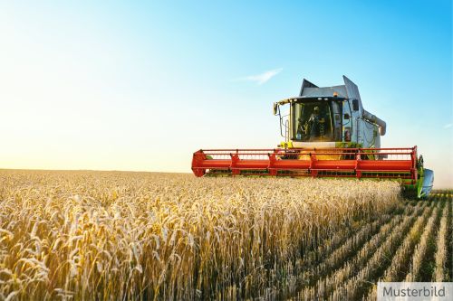 Attraktive und gut geschnittene Ackerfläche in Ibbenbüren! 