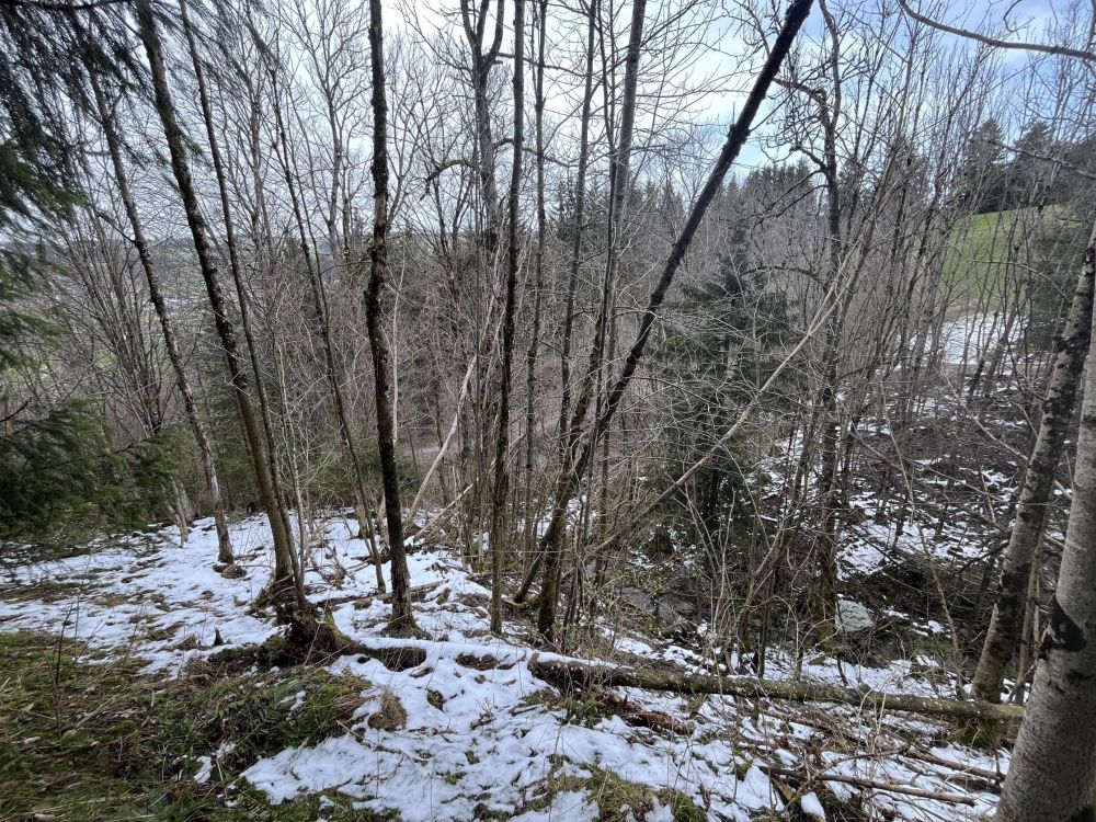 HOLZ MACHT 2x WARM!!!
Waldgrundstück in Wertach