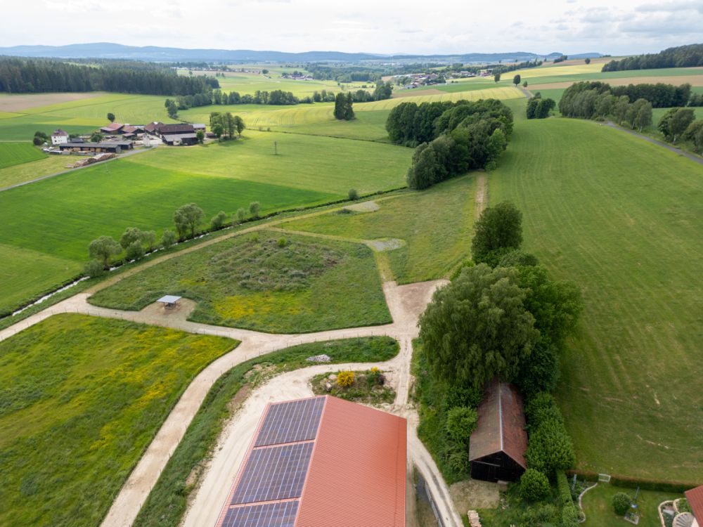 Traumhafte Reitanlage in idyllischer Naturlage – Perfekt für Westernsport-Enthusiasten!