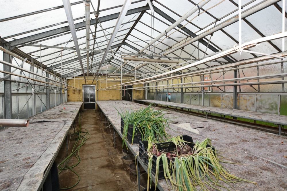 Blick auf die Gartenfläche