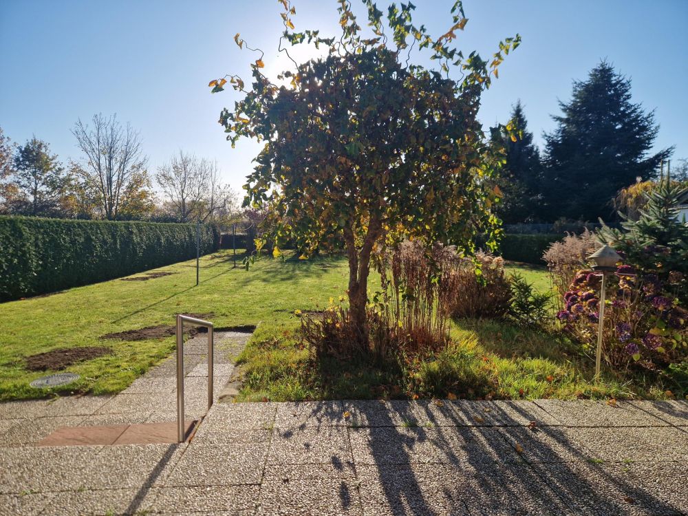 Weitläufiger Garten