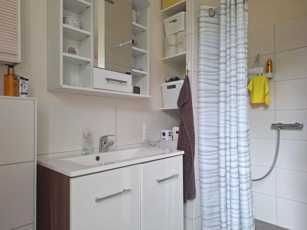 Kleinste Whg. unten rechts, Blick zum Waschbecken und zur Walk-In-Dusche