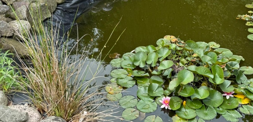 Hyggeliges Einfamilienhaus in schöner Lage von Süderbrarup