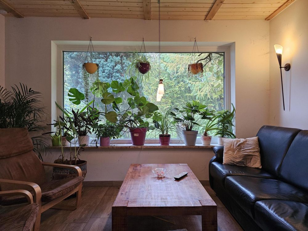 Modernes Wohnen in Alleinlage - auf großem Naturgrundstück und fußläufiger Entfernung zum NOK!