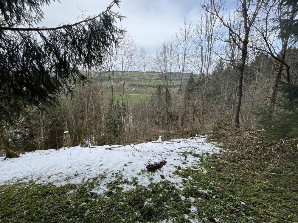 HOLZ MACHT 2x WARM!!!
Waldgrundstück in Wertach