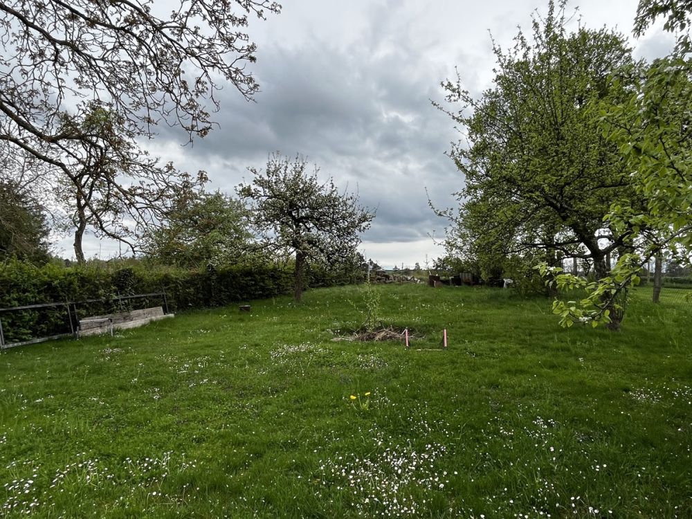 Ideal für die große Familie oder den Mehrgenerationenhaushalt! (11)