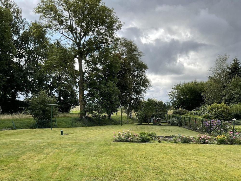 Gartenansicht im Sommer