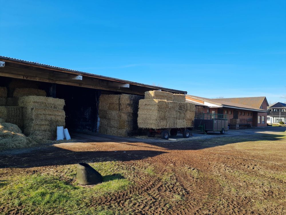 Weitläufiges, wandelbares Raiffeisengelände mit viel Potential!