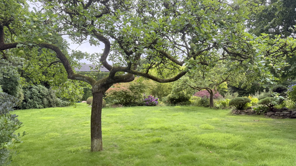 Reetdach-Anwesen mit Sommer-Gästehaus, Garage und Parkgrundstück / nur ca. 600 m zum Zw´ahner Meer