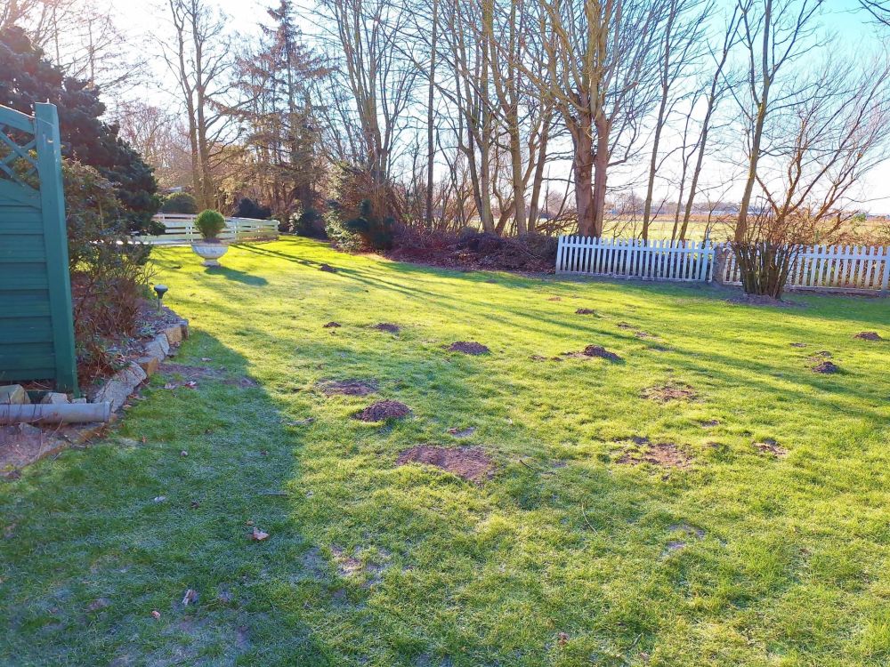 Wohnanlage in toller Lage