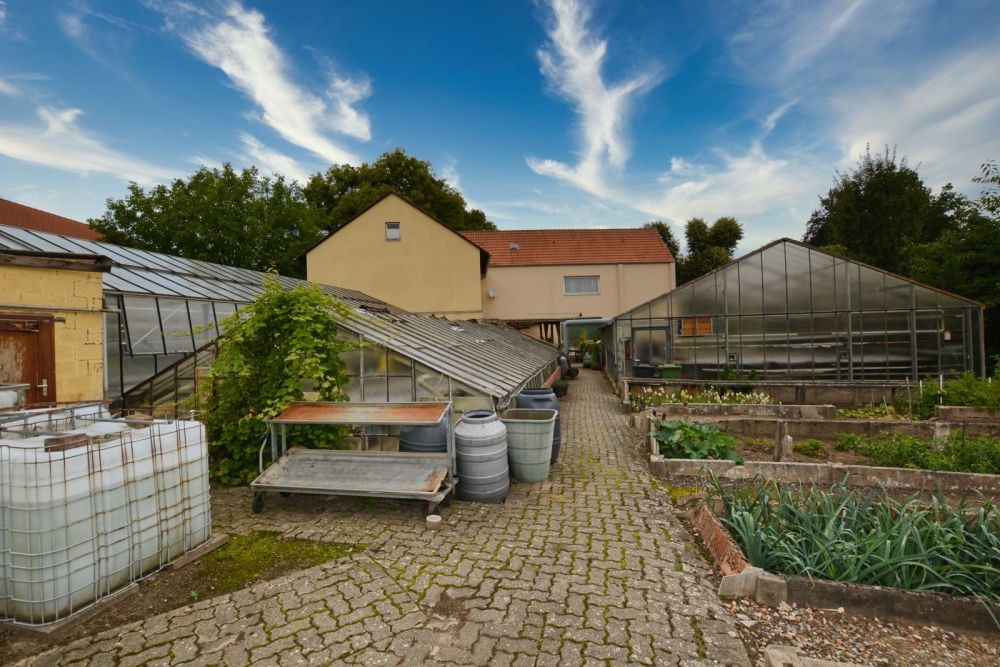 Blick in eines der Gewächshäuser