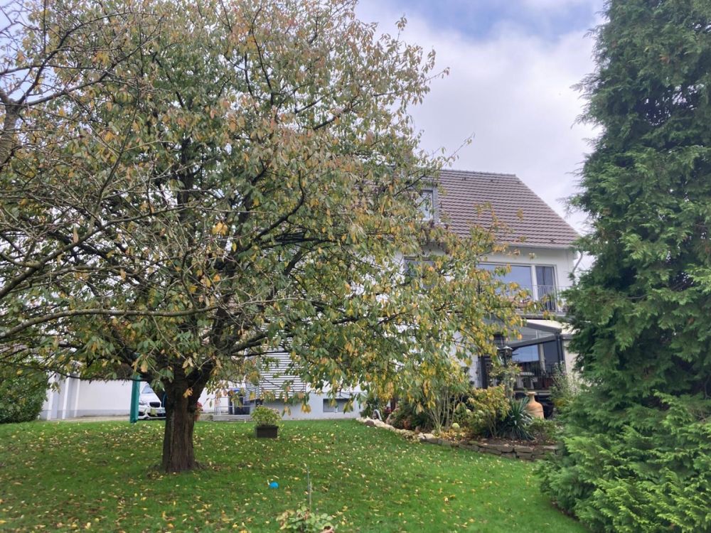 Dreifamilienhaus in schöner und ruhiger Wohnlage im Stadtteil Katterbach