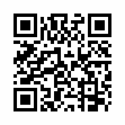 Frei ab 01.12.2025: Lichtdurchflutete 1-Zimmer-DG-Wohnung mit Balkon und TG-Stellpl. in Nieder-Roden