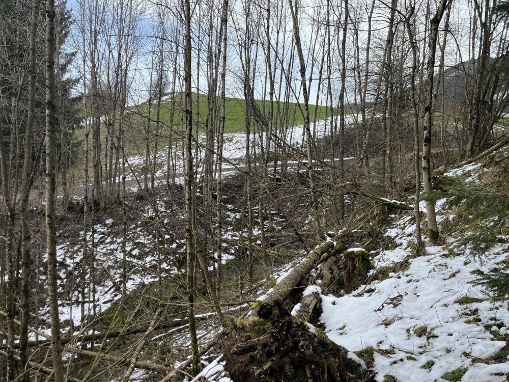 HOLZ MACHT 2x WARM!!!
Waldgrundstück in Wertach