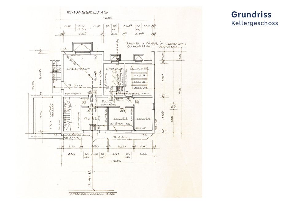 Der Platzriese auf herrlichem Grund