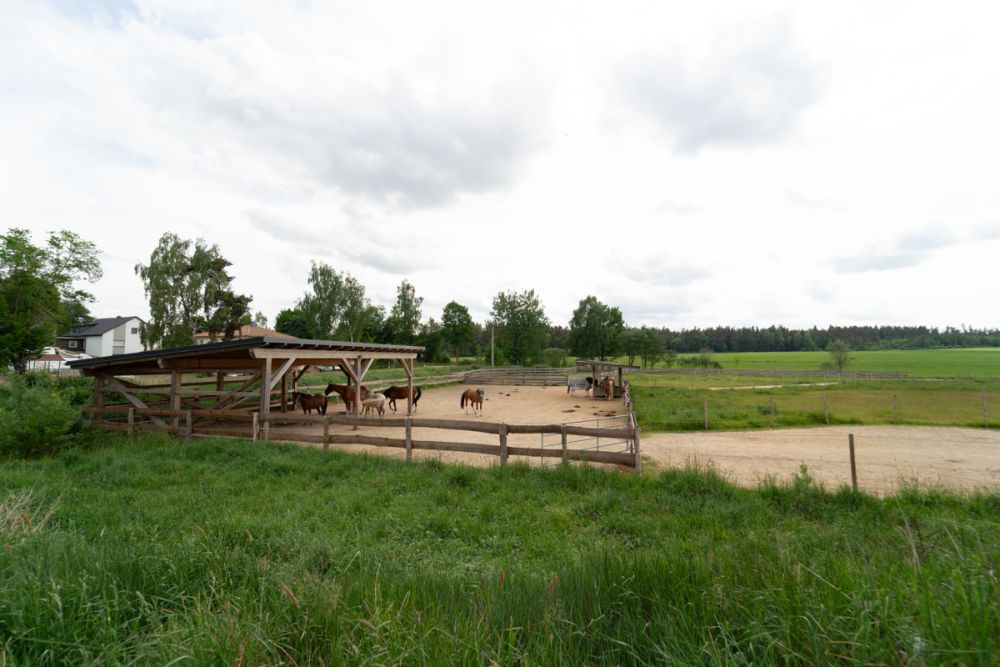 Traumhafte Reitanlage in idyllischer Naturlage – Perfekt für Westernsport-Enthusiasten!