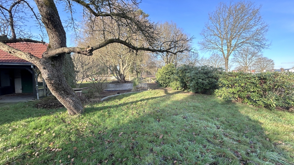 Einsicht in den seitlichen Gartenbereich