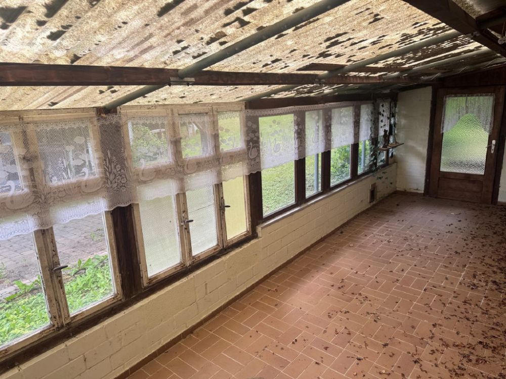 Leben im Nationalpark Hunsrück-Hochwald