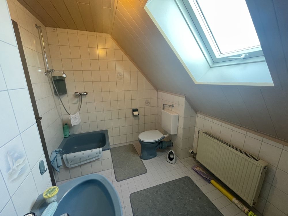 Einfamilienhaus mit großer Maschinenhalle und Werkstatt in Waidhaus!