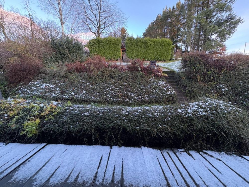 Balkon mit Zutritt in den Garten