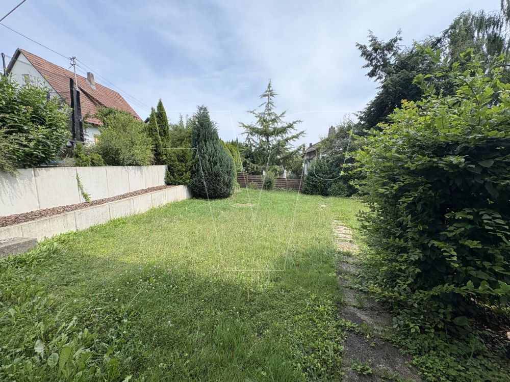 Wohnen in toller Lage