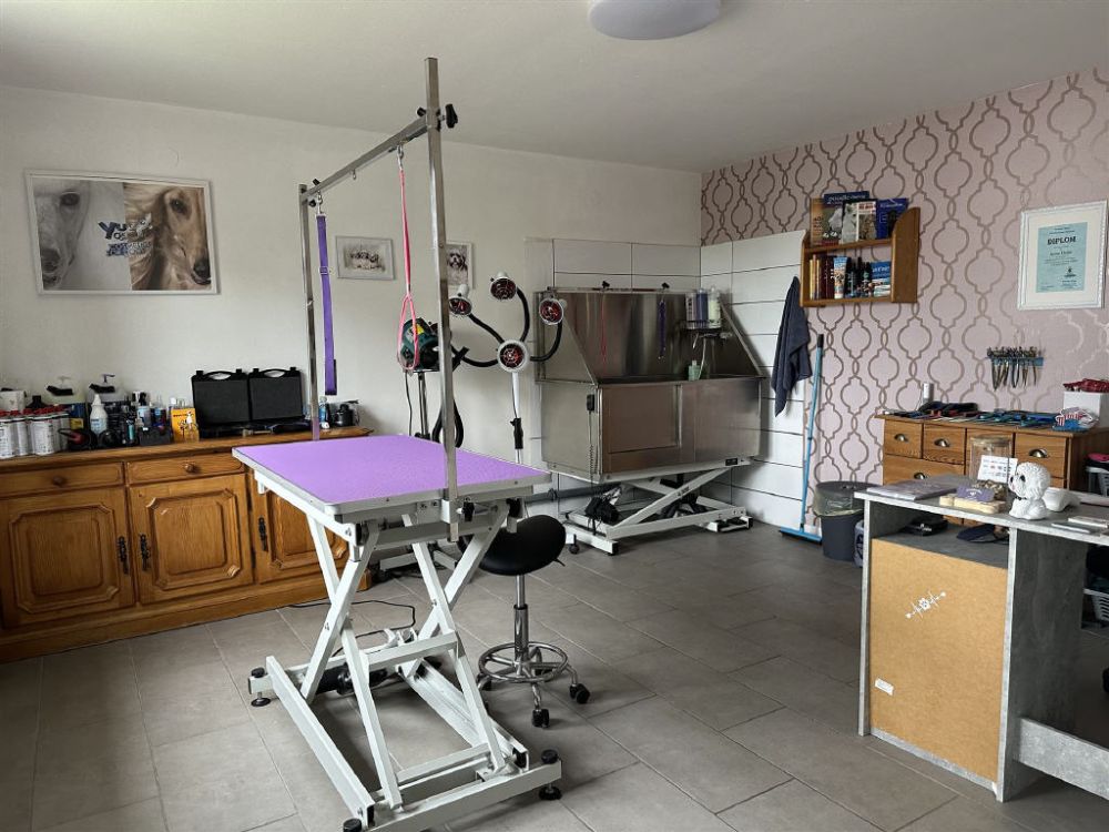 Modernes Wohnen trifft auf zeitlose Gemütlichkeit