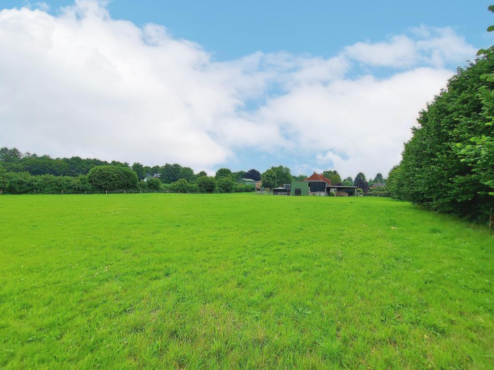 Großer Wohntraum (ca. 202 m²) mit Doppelcarport und angrenzender Weidefläche in Beringstedt