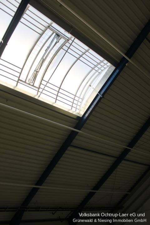 Attraktive Gewerbehalle zur Vermietung – Vielseitig nutzbar!
