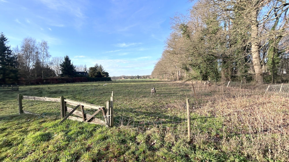 zugehörige Weidefläche