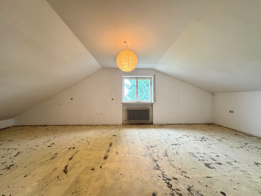 Zimmer DG