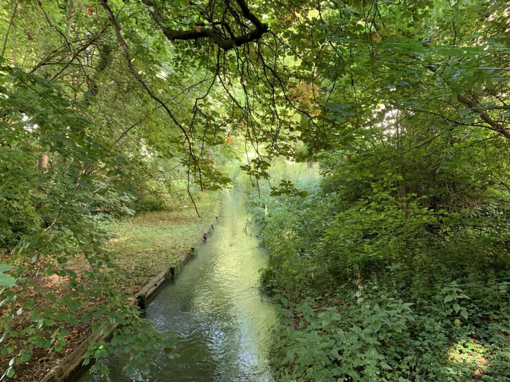 Umgebung