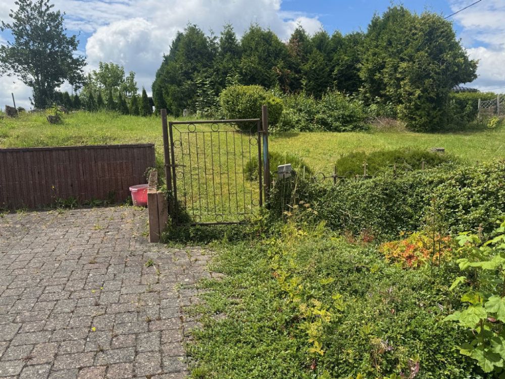 Leben im Nationalpark Hunsrück-Hochwald